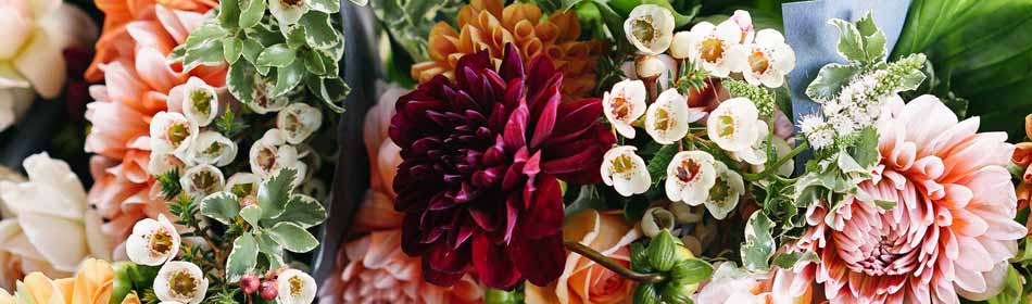 Florists, Floral Arrangements, Bouquets in the Bucks County, PA area