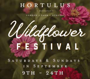 HORTULUS WILDFLOWER FESTIVAL WEEKENDS in Hortulus Farm Foundation