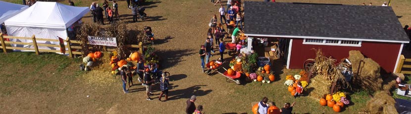 Froehlich's Farm Fall Festival