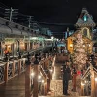 Christmas tree on train platform