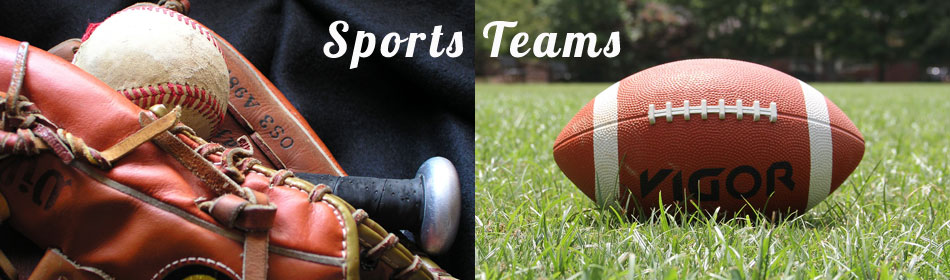 Sports teams, football, baseball, hockey, minor league teams in the Bucks County, PA area